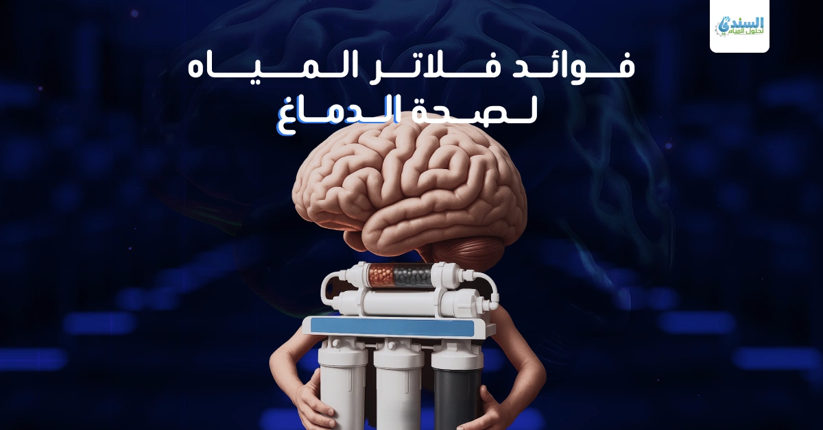 فوائد فلاتر المياه لصحة الدماغ
